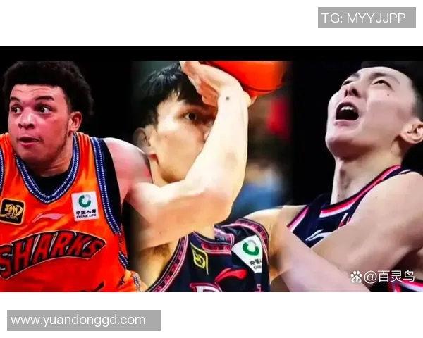 山西队全员发力七人得分上双新外援表现惊艳攻防兼备展现实力